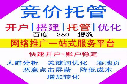 SEM托管实战：某电商平台的成功经验